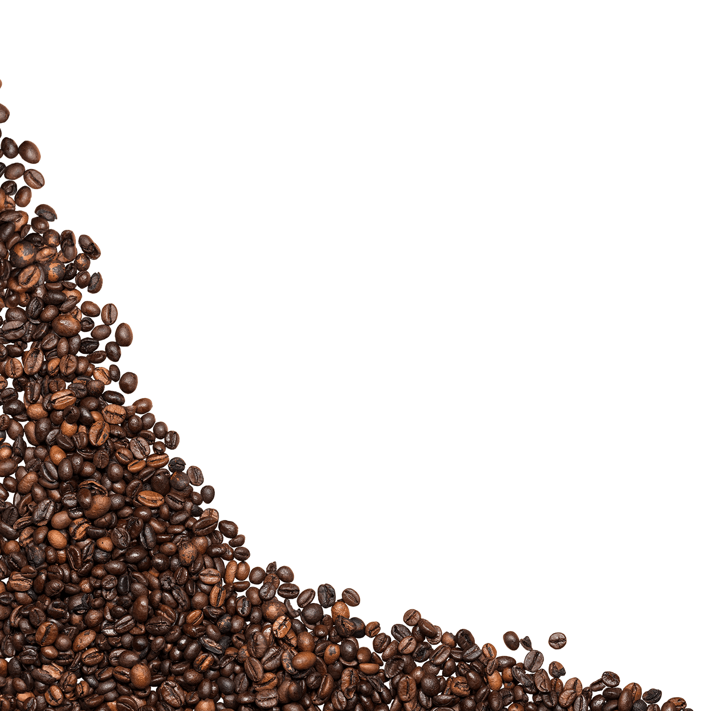 coffee solutions in New York City, Jersey City, and Newark area
